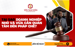 phap che doanh nghiep