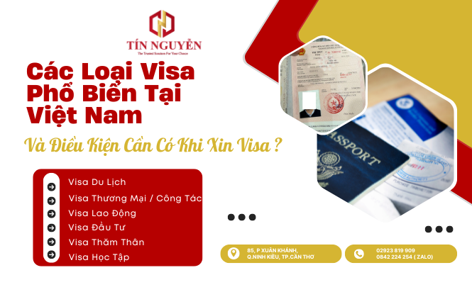 cac loai visa pho bien